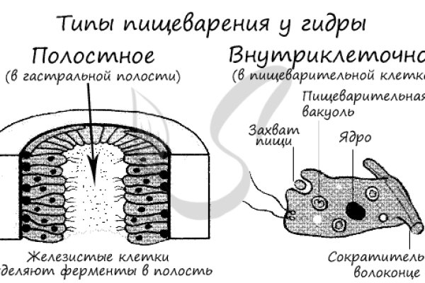 Кракен зеркала krk store com