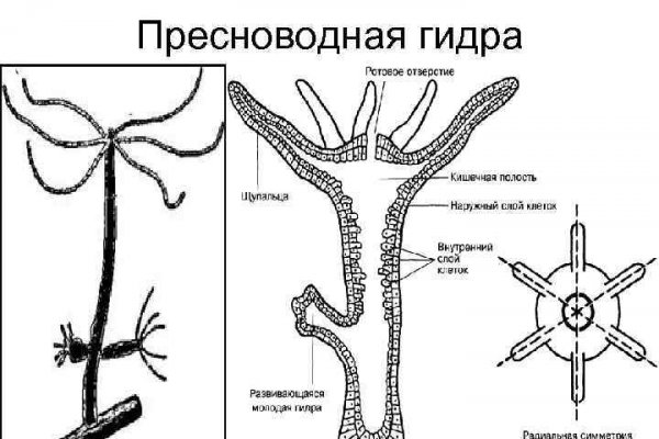 Kraken найдется все