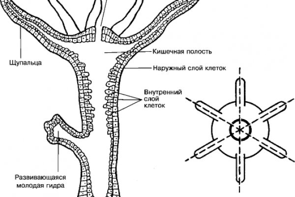 Кракен это сайт