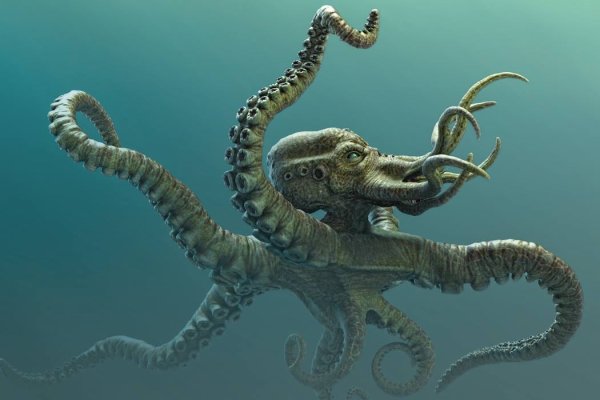 Сайт kraken в tor